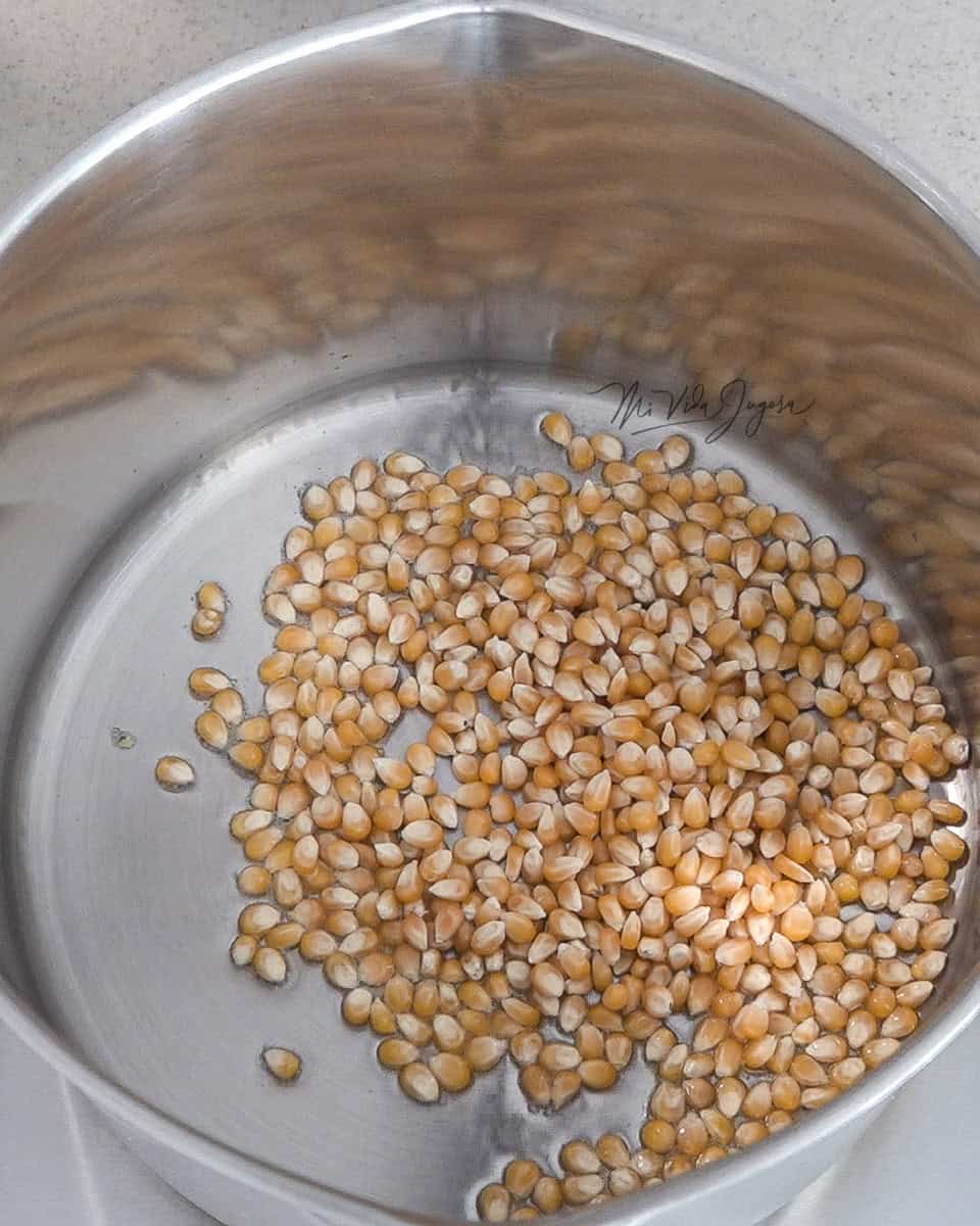 Se muestra una olla profunda conteniendo granos de maiz naturales y secos y aceite