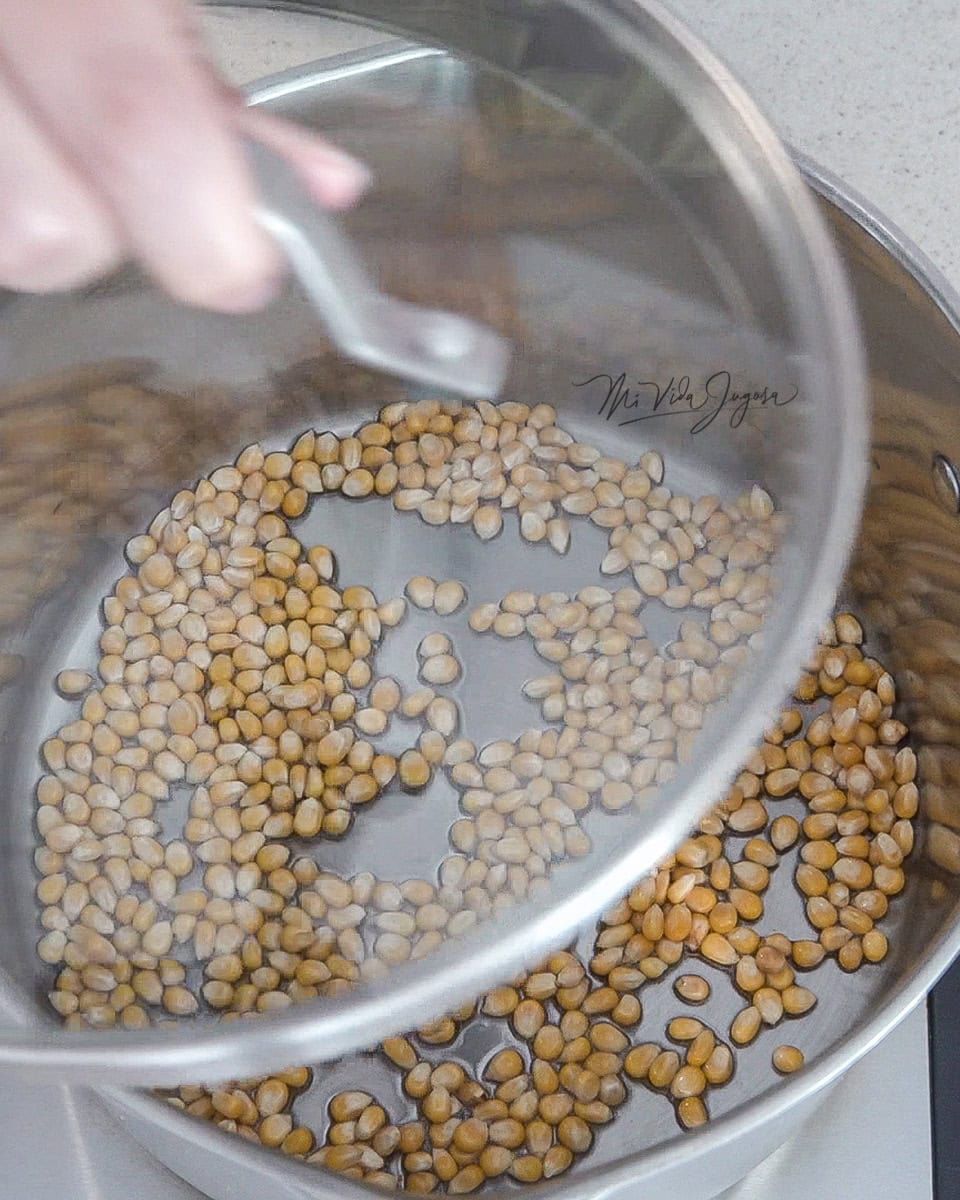 Se muestra donde una mano se encuentra poniendole la tapa a la olla, la cual contiene el maíz y el aceite